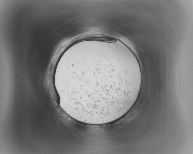 X0000110911104200907161453