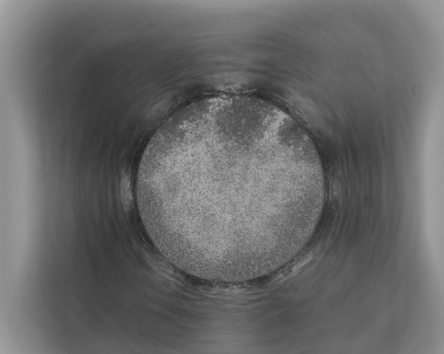 X0000110911106200907161453