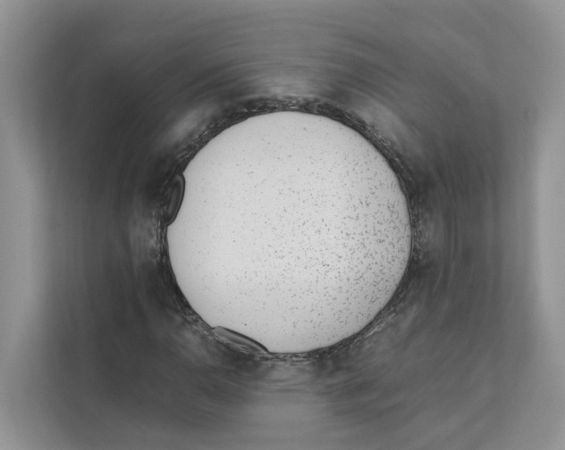 X0000110911110200907161453