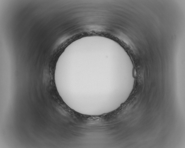 X0000110911112200907161453