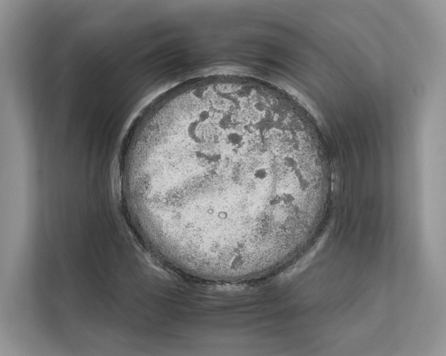 X0000110911117200907161453