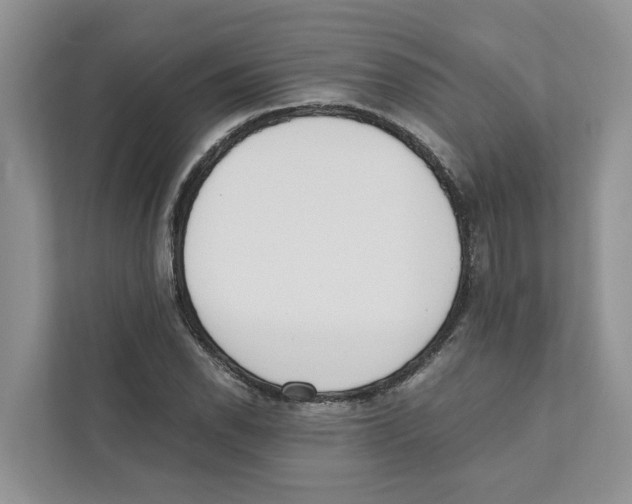 X0000110911118200907161453