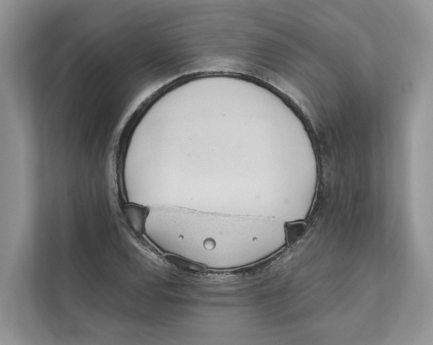 X0000110911120200907161453