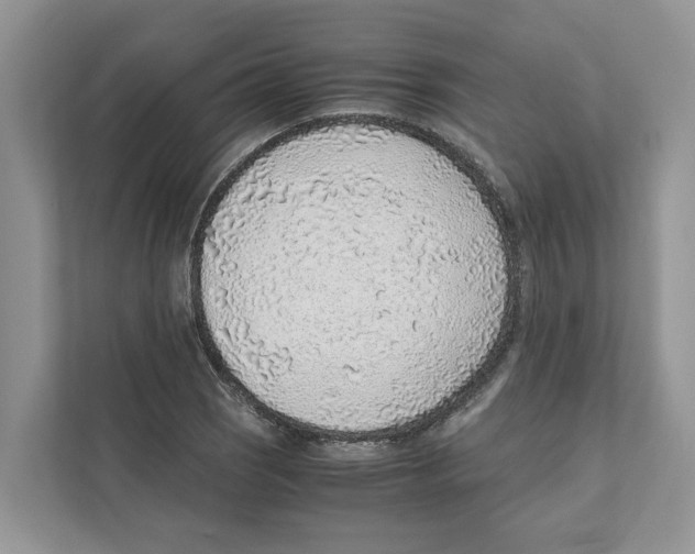 X0000110911121200907161453