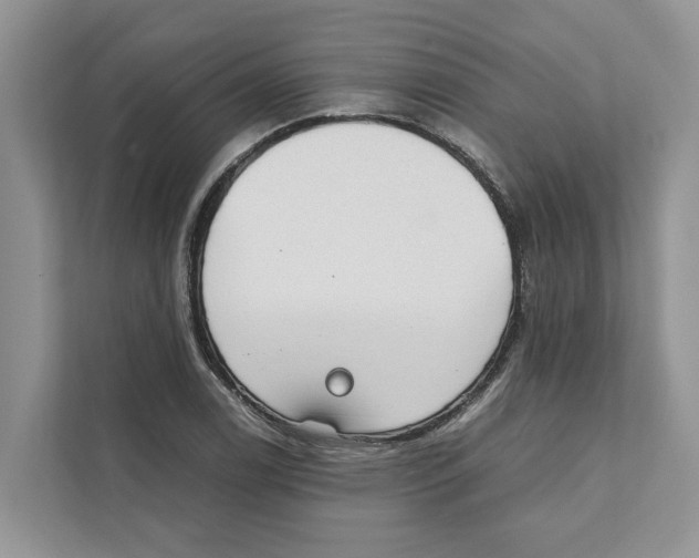 X0000110911122200907161453