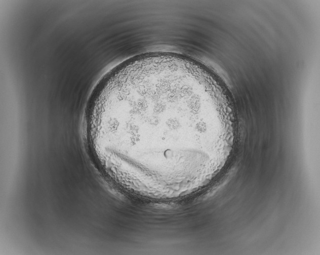 X0000110911125200907161453