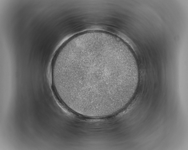 X0000110911127200907161453