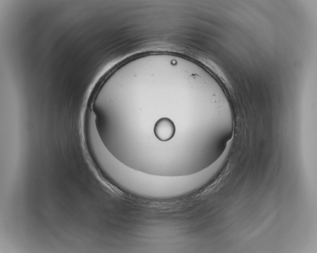 X0000110911128200907161453