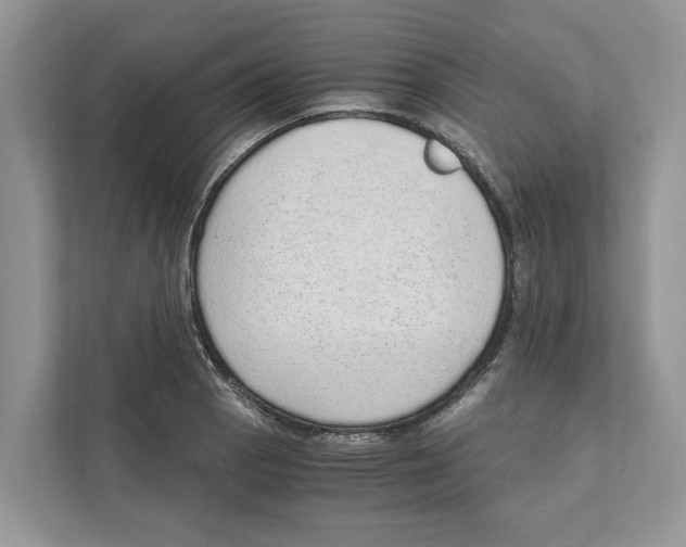 X0000110911129200907161453