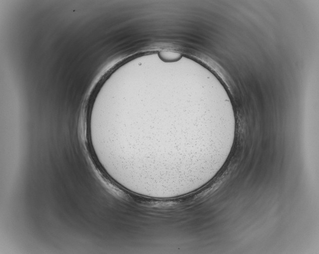 X0000110911131200907161453