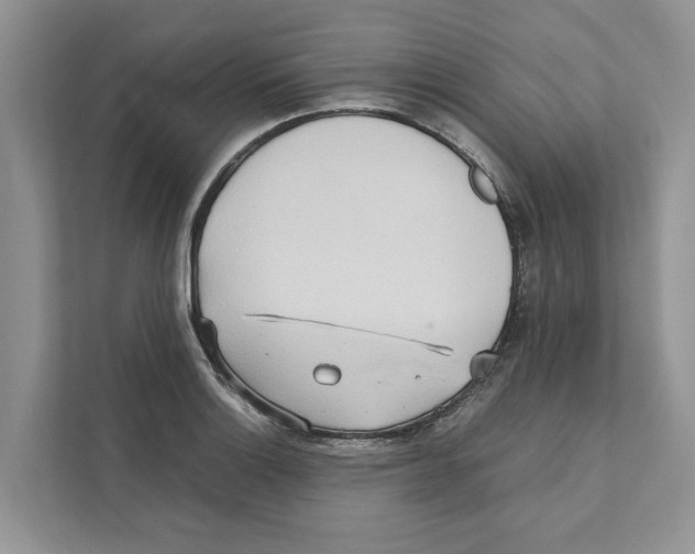 X0000110911132200907161453