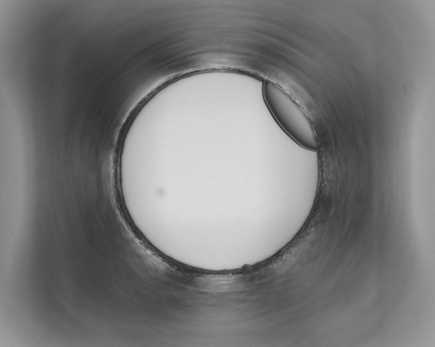 X0000110911134200907161453