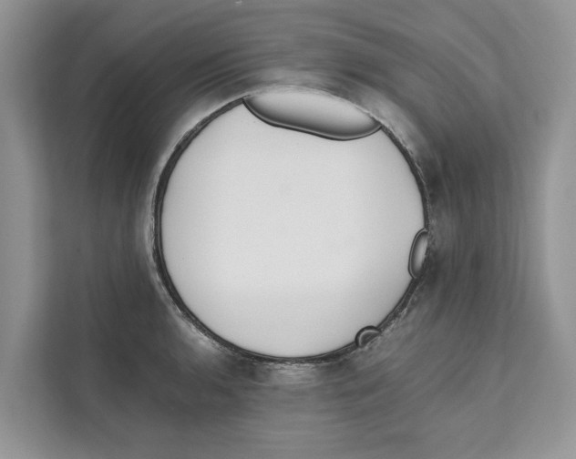 X0000110911136200907161453