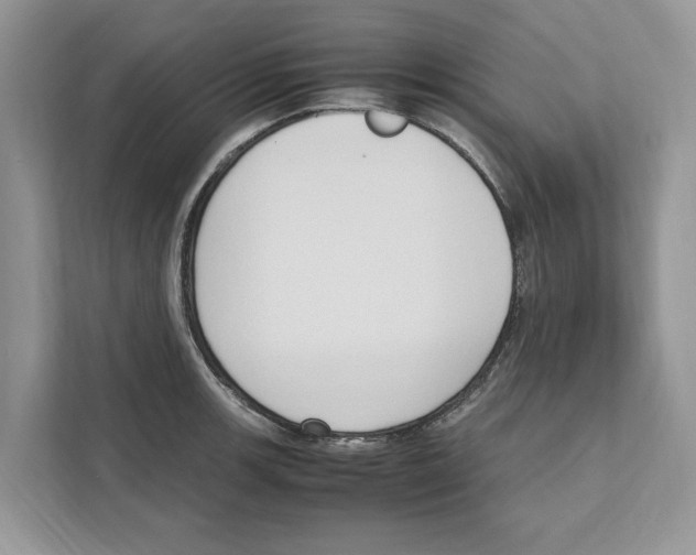 X0000110911139200907161453