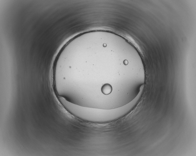 X0000110911140200907161453