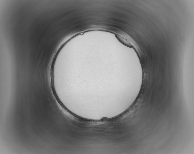 X0000110911143200907161453