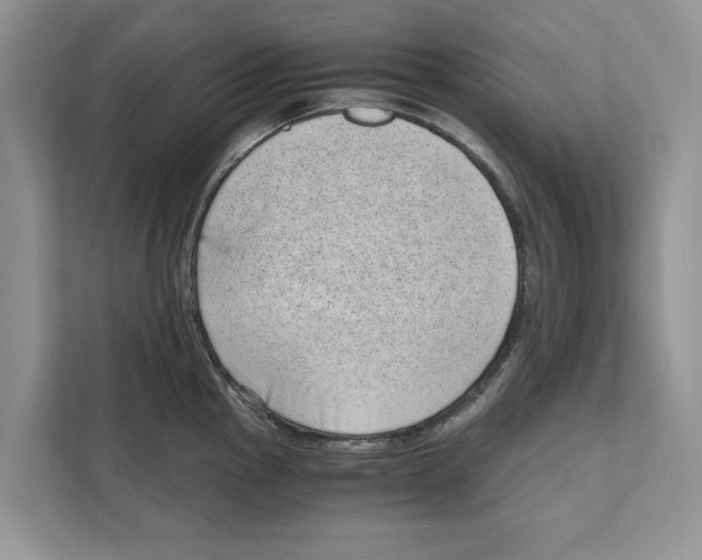 X0000110911145200907161453