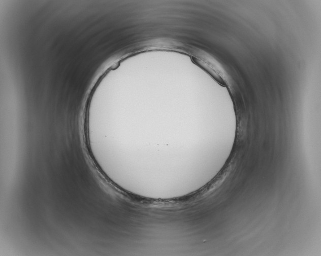 X0000110911146200907161453