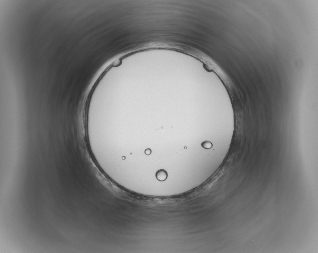 X0000110911148200907161453