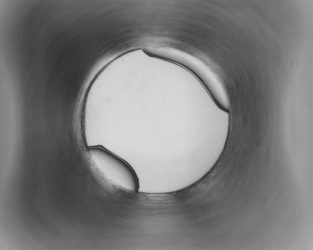 X0000110911152200907161453