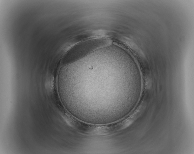 X0000110911161200907161453