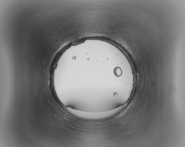 X0000110911165200907161453