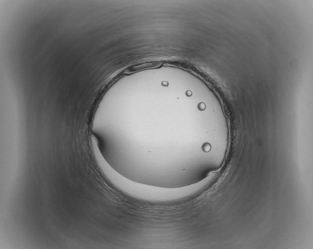 X0000110911169200907161453