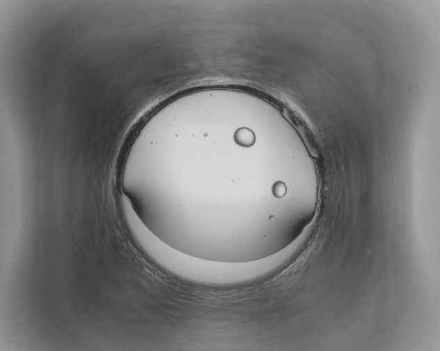 X0000110911173200907161453