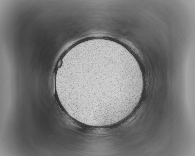 X0000110911175200907161453