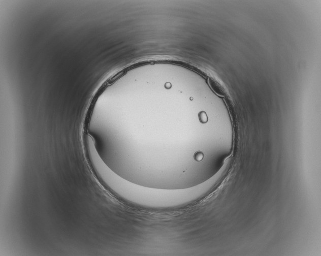 X0000110911181200907161452