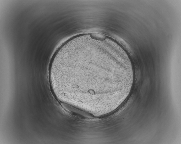 X0000110911184200907161452