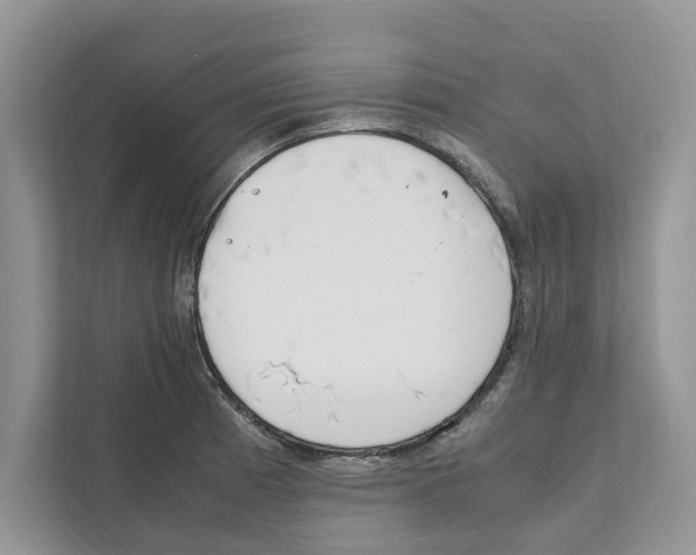 X0000110911185200907161452