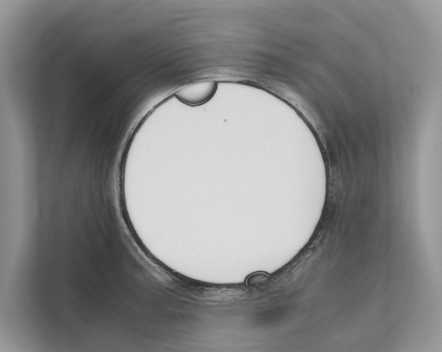 X0000110911187200907161452