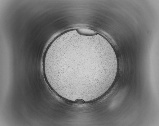 X0000110911188200907161452