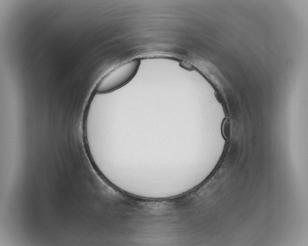 X0000110911189200907161452