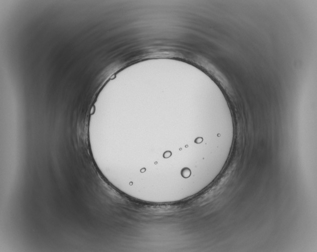 X0000110911193200907161452