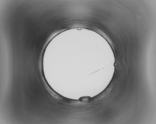 X0000110911195200907161452