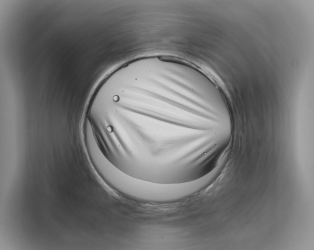 X0000110911197200907161452