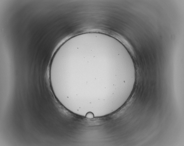 X0000110911198200907161452