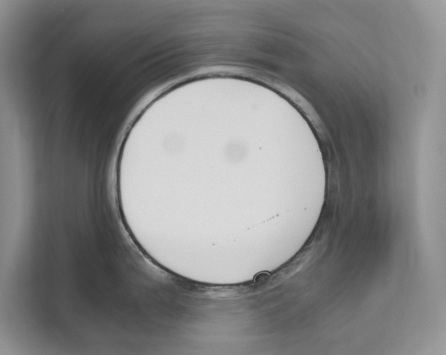 X0000110911199200907161452