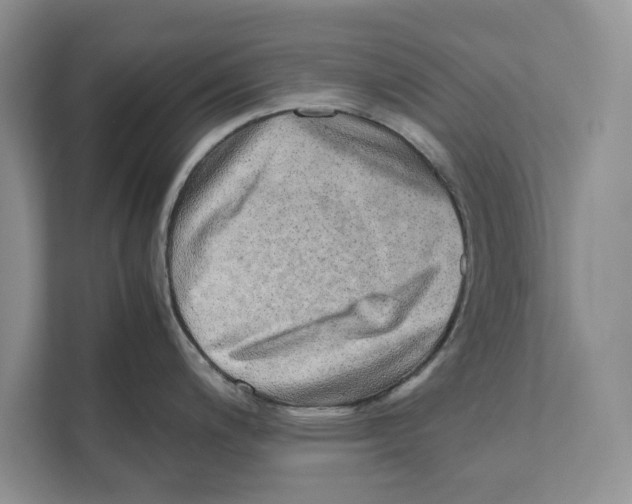 X0000110911200200907161452