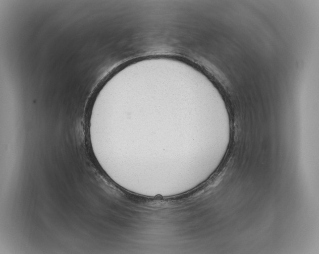 X0000110911212200907161452