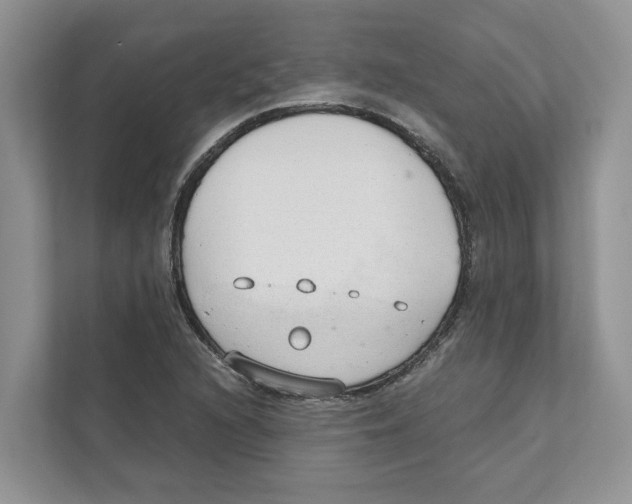 X0000110911216200907161452