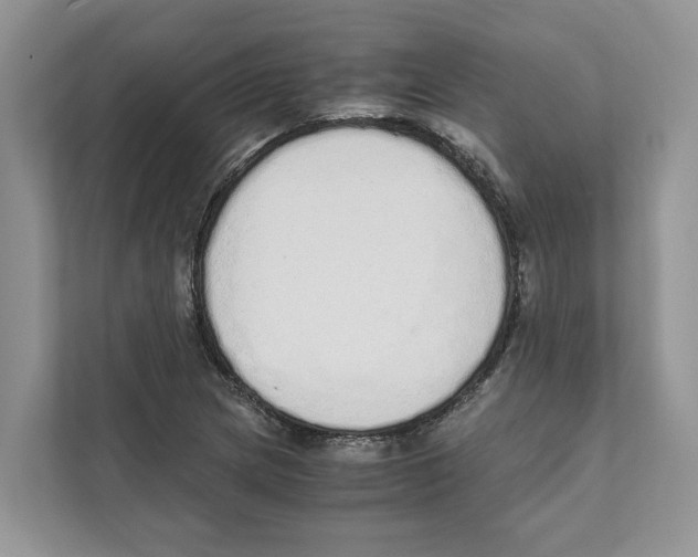 X0000110911217200907161452