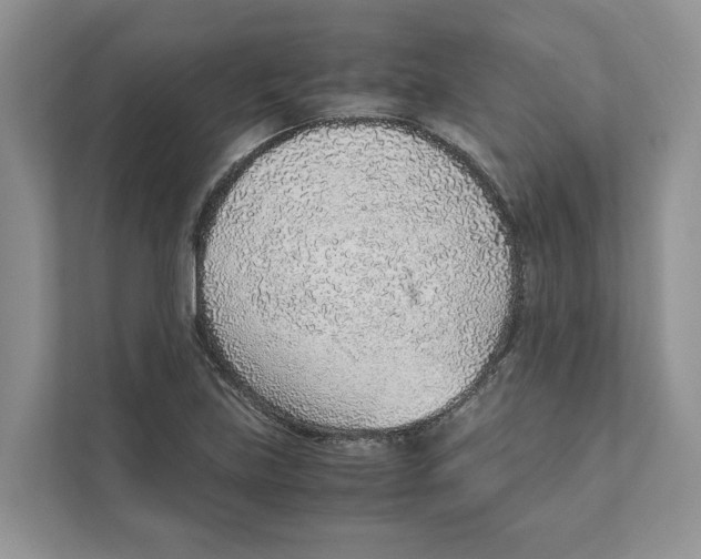 X0000110911219200907161452