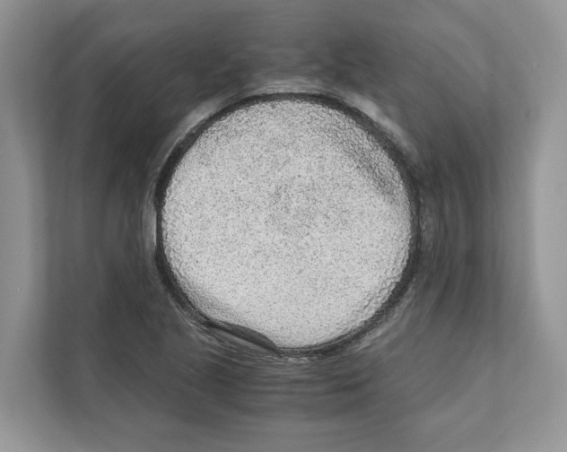 X0000110911221200907161452