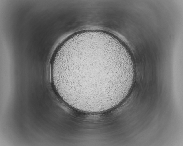 X0000110911223200907161452