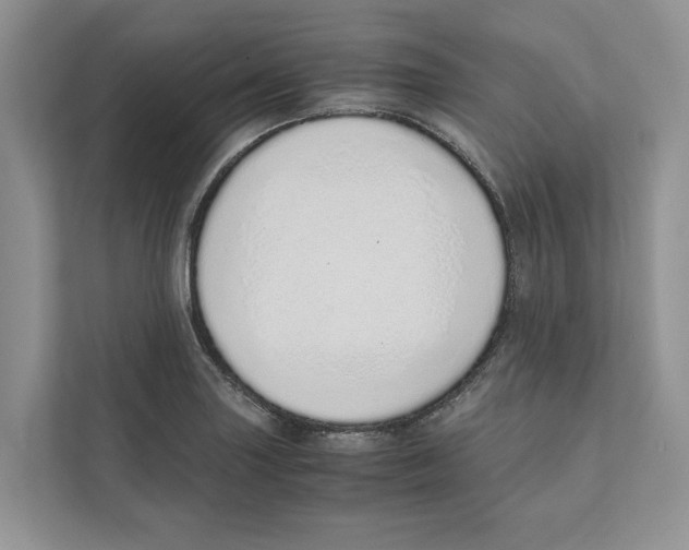 X0000110911227200907161452