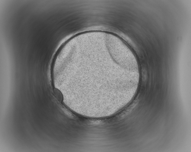 X0000110911230200907161452