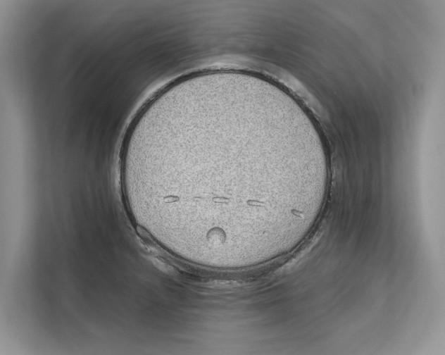 X0000110911232200907161452